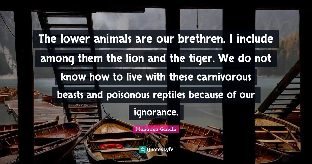 Reptiles Quotes: "The lower animals are our brethren. I include among them the lion and the tiger. We do not know how to live with these carnivorous beasts and poisonous reptiles because of our ignorance."