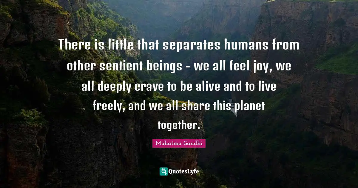There is little that separates humans from other sentient beings - we all feel joy, we all deeply crave to be alive and to live freely, and we all share this planet together.