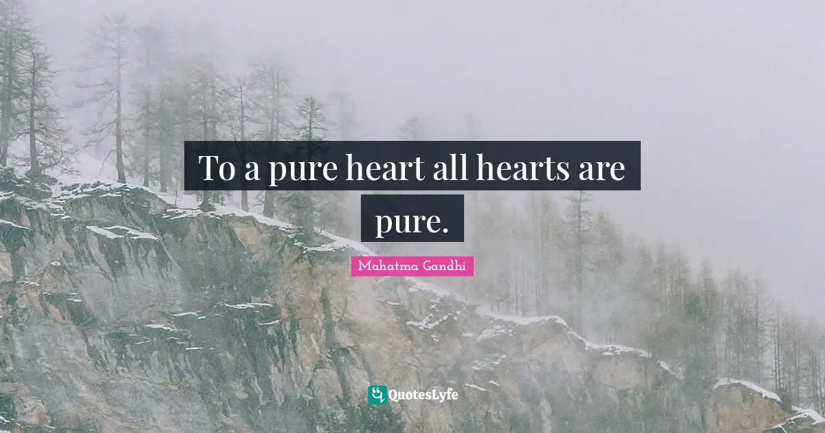 To a pure heart all hearts are pure.