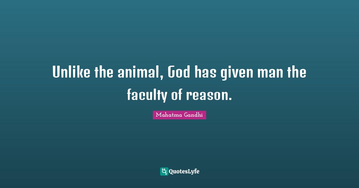 Unlike the animal, God has given man the faculty of reason.
