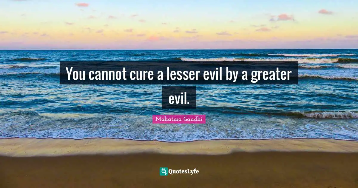 You cannot cure a lesser evil by a greater evil.