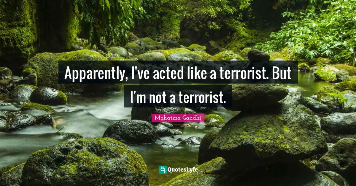 Apparently, I've acted like a terrorist. But I'm not a terrorist.
