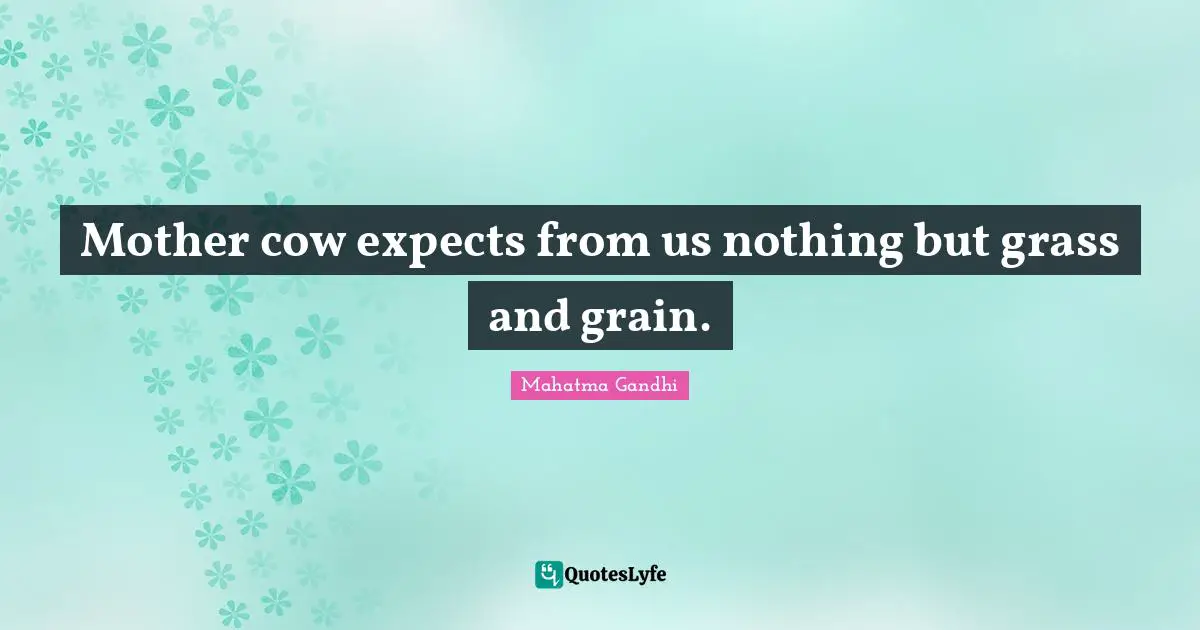 Mother cow expects from us nothing but grass and grain.