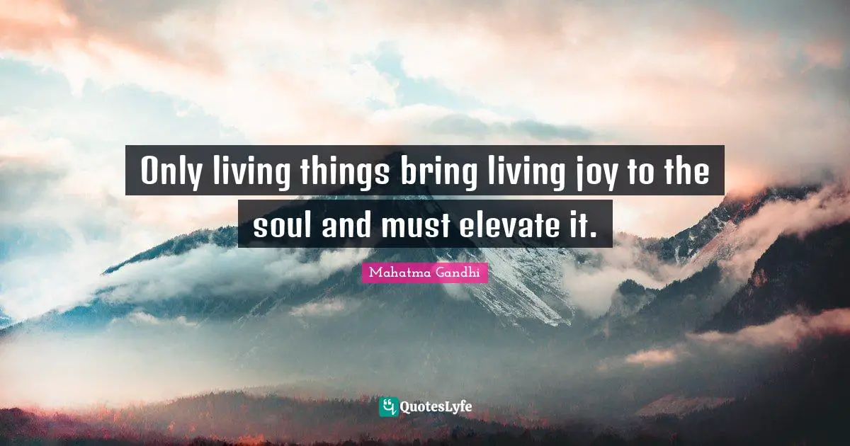 Only living things bring living joy to the soul and must elevate it.