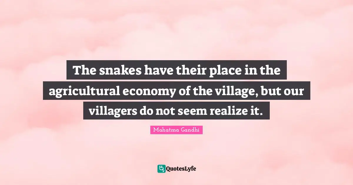 The snakes have their place in the agricultural economy of the village, but our villagers do not seem realize it.