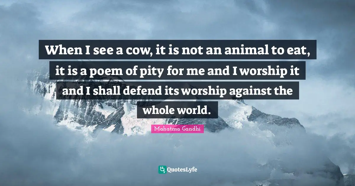 When I see a cow, it is not an animal to eat, it is a poem of pity for me and I worship it and I shall defend its worship against the whole world.