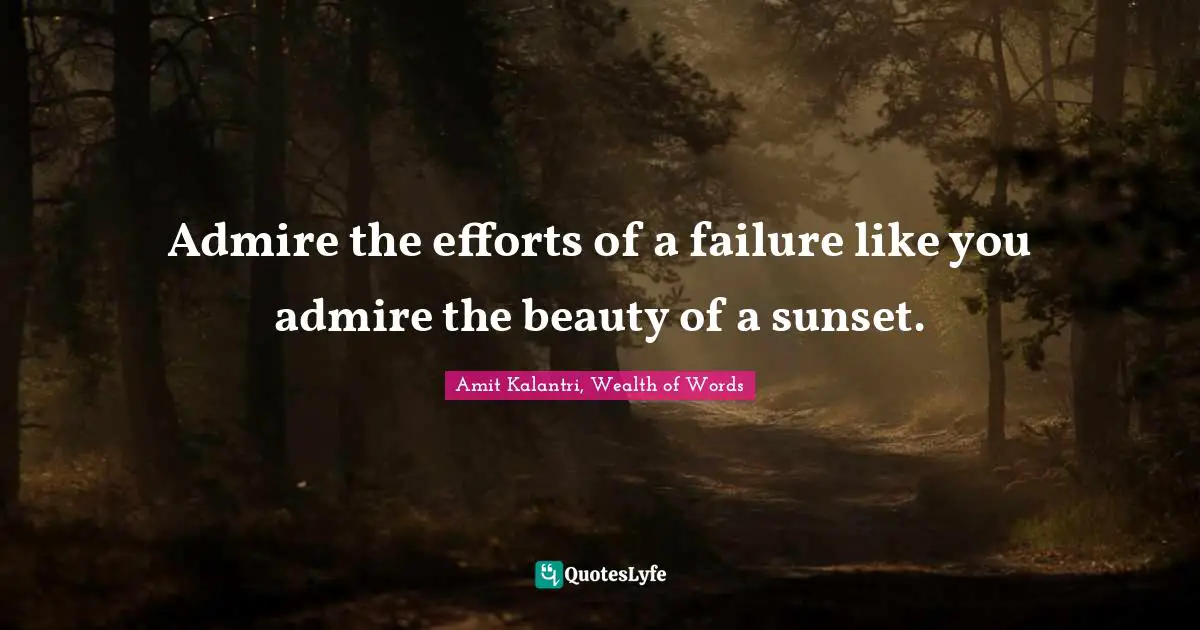 Admire the efforts of a failure like you admire the beauty of a sunset.