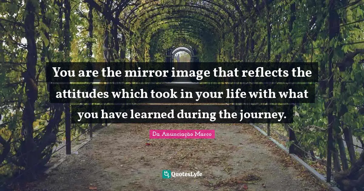 Da Anunciação Marco Quotes: "You are the mirror image that reflects the attitudes which took in your life with what you have learned during the journey."