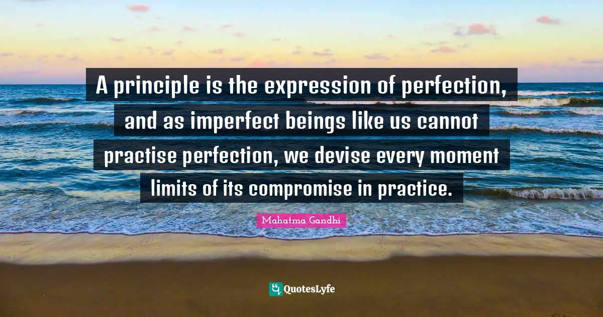 A principle is the expression of perfection, and as imperfect beings like us cannot practise perfection, we devise every moment limits of its compromise in practice.