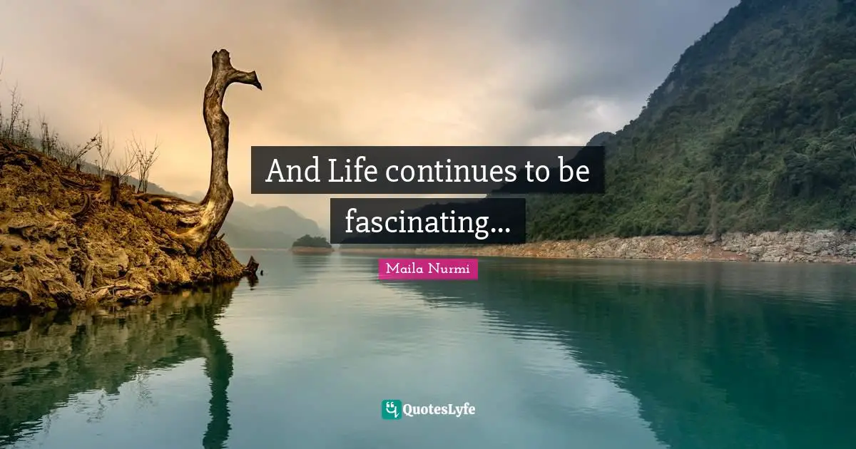 And Life continues to be fascinating...