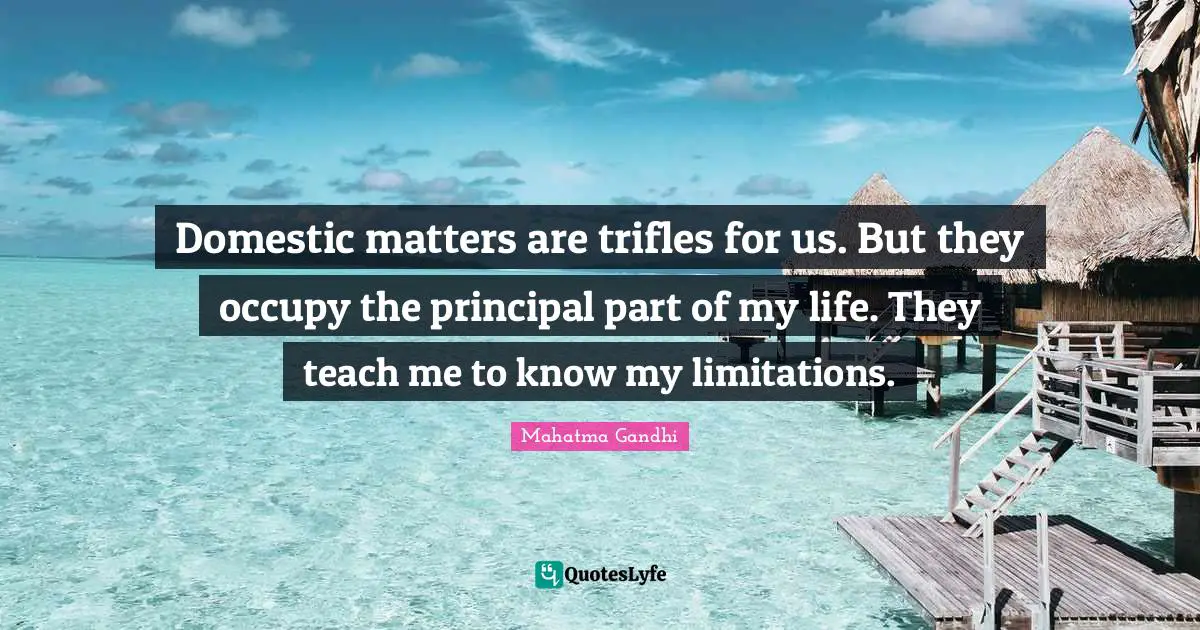 Domestic matters are trifles for us. But they occupy the principal part of my life. They teach me to know my limitations.