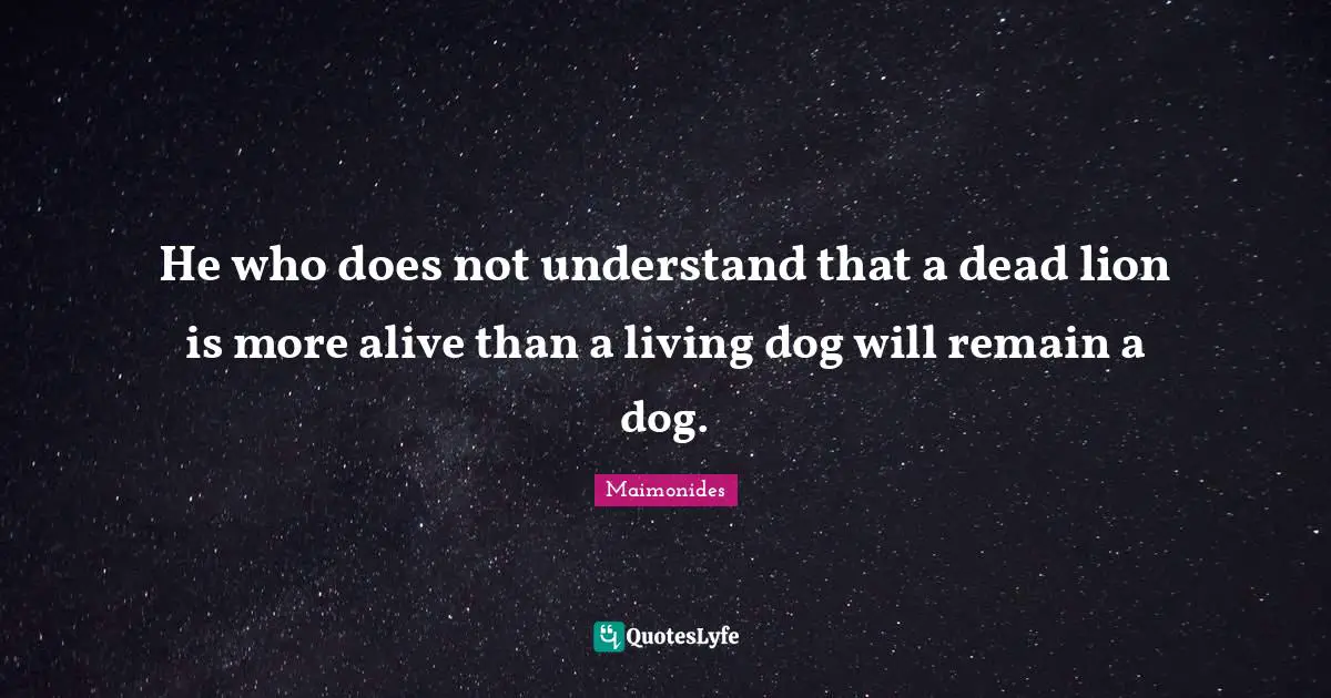 He who does not understand that a dead lion is more alive than a living dog will remain a dog.
