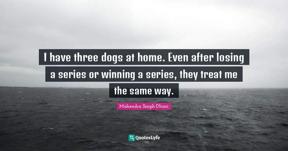 Series Quotes: "I have three dogs at home. Even after losing a series or winning a series, they treat me the same way."