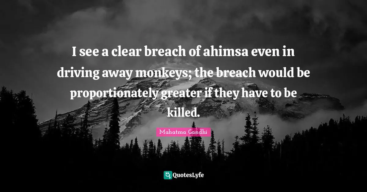 I see a clear breach of ahimsa even in driving away monkeys; the breach would be proportionately greater if they have to be killed.