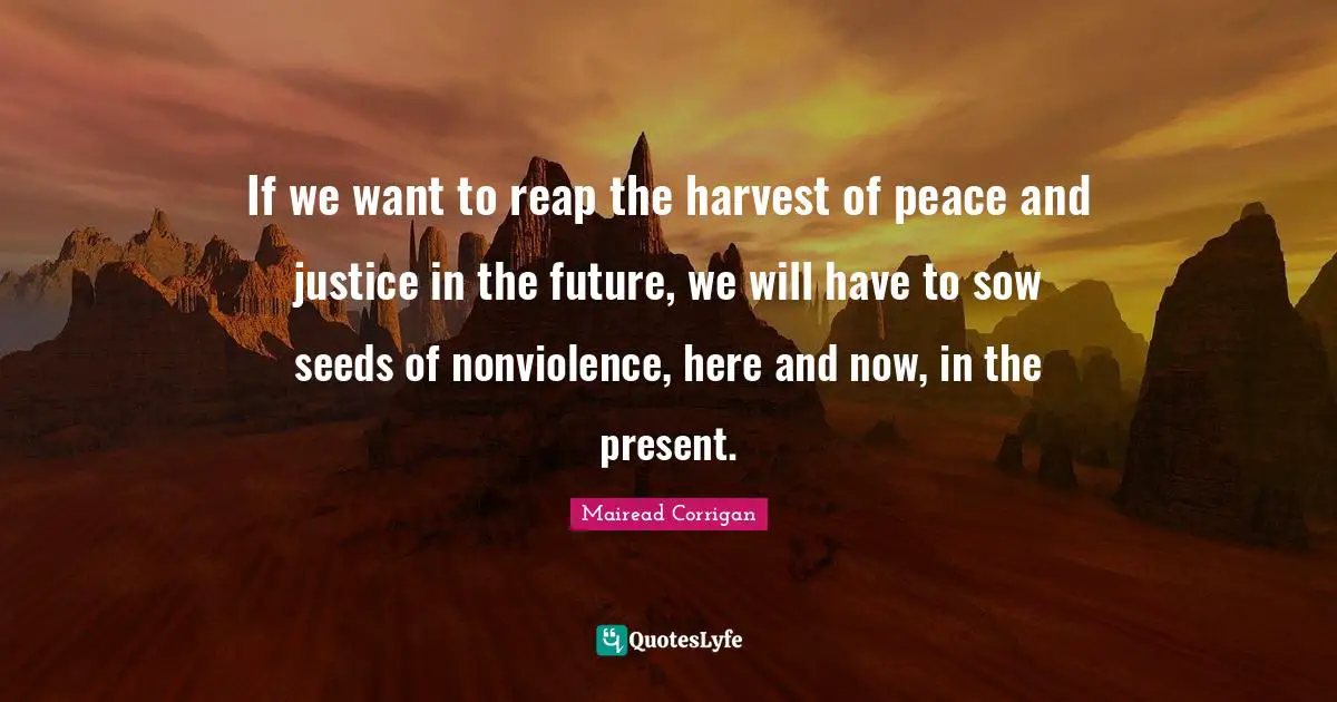 Seeds Quotes: "If we want to reap the harvest of peace and justice in the future, we will have to sow seeds of nonviolence, here and now, in the present."