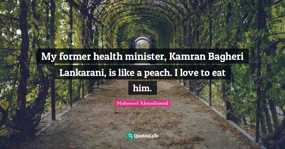 My former health minister, Kamran Bagheri Lankarani, is like a peach. I love to eat him.