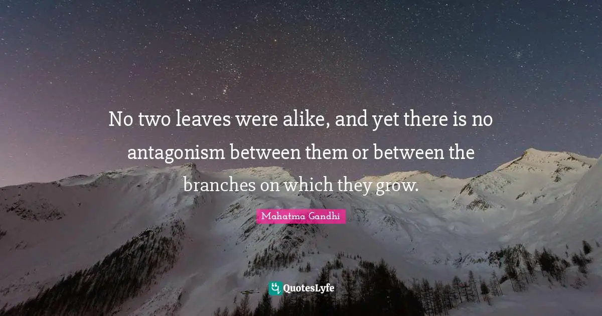 No two leaves were alike, and yet there is no antagonism between them or between the branches on which they grow.