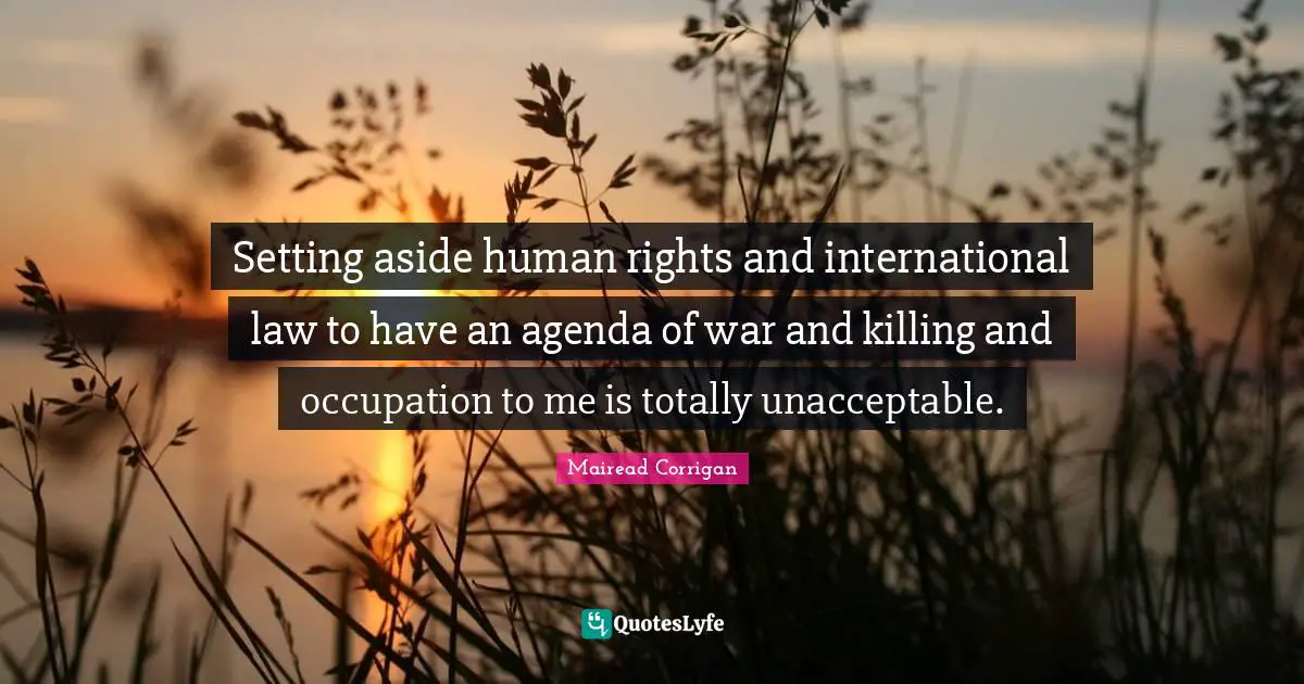 Setting aside human rights and international law to have an agenda of war and killing and occupation to me is totally unacceptable.