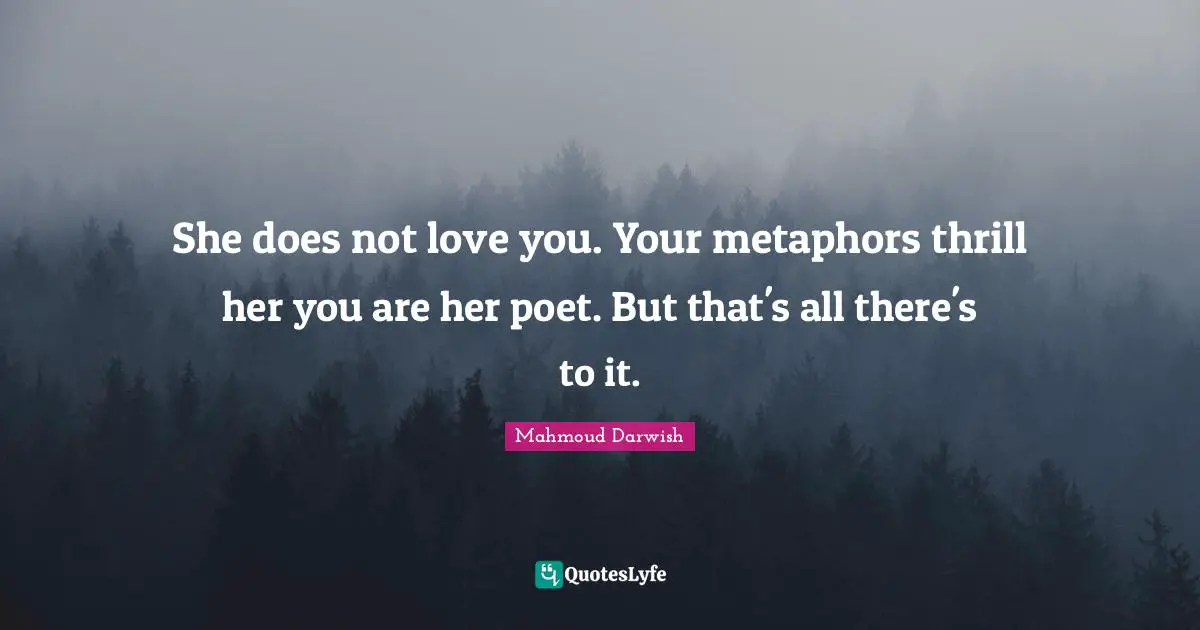 Poet Quotes: "She does not love you. Your metaphors thrill her you are her poet. But that's all there's to it."