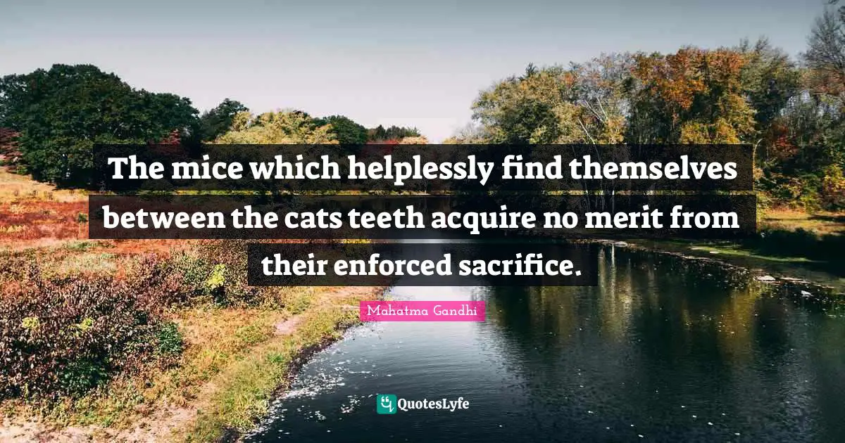 The mice which helplessly find themselves between the cats teeth acquire no merit from their enforced sacrifice.