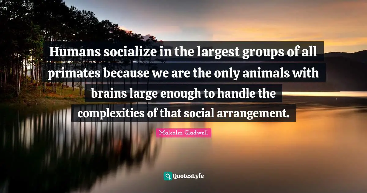 Primates Quotes: "Humans socialize in the largest groups of all primates because we are the only animals with brains large enough to handle the complexities of that social arrangement."