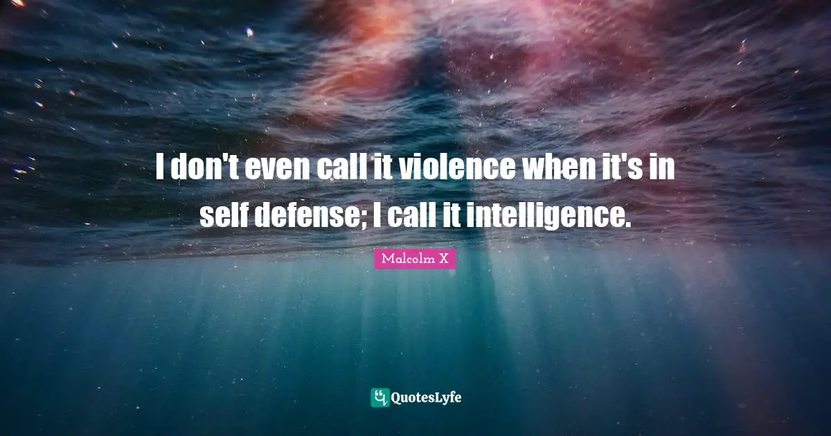 I don't even call it violence when it's in self defense; I call it intelligence.