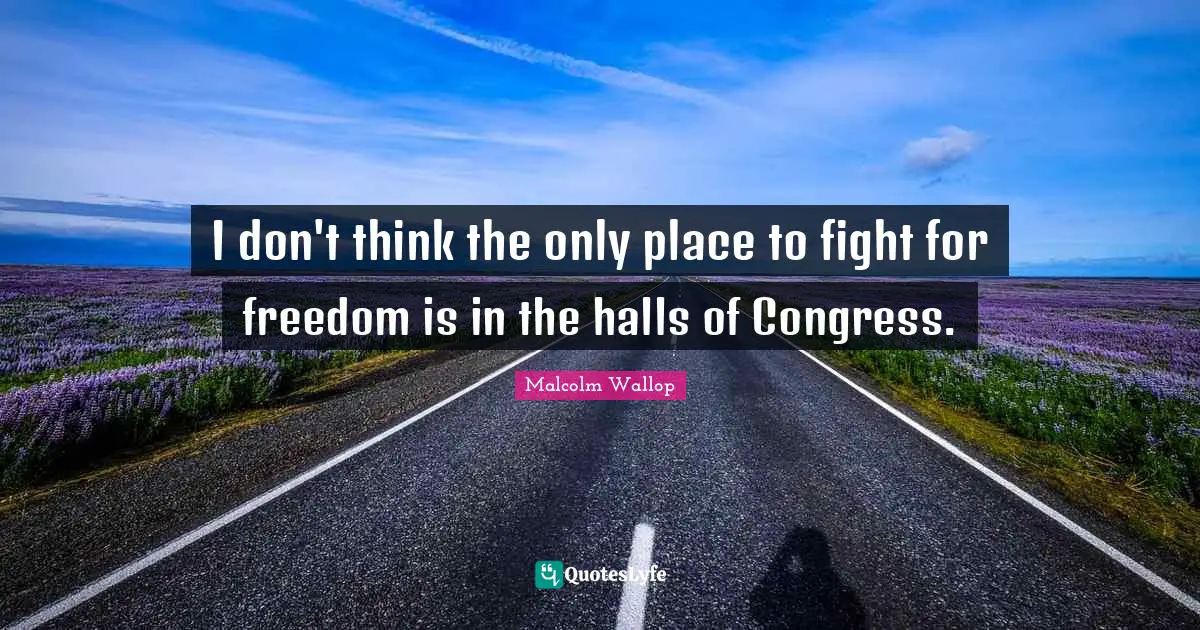 I don't think the only place to fight for freedom is in the halls of Congress.