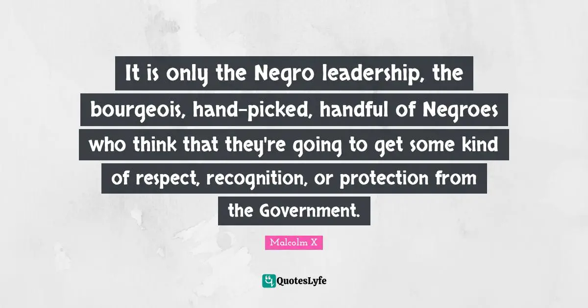 It is only the Negro leadership, the bourgeois, hand-picked, handful of Negroes who think that they're going to get some kind of respect, recognition, or protection from the Government.