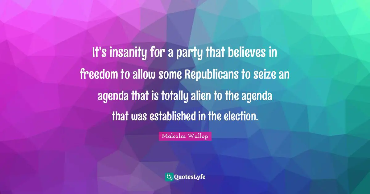 It's insanity for a party that believes in freedom to allow some Republicans to seize an agenda that is totally alien to the agenda that was established in the election.