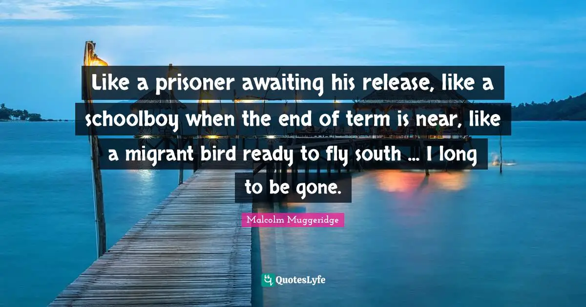 Prisoner Quotes: "Like a prisoner awaiting his release, like a schoolboy when the end of term is near, like a migrant bird ready to fly south ... I long to be gone."