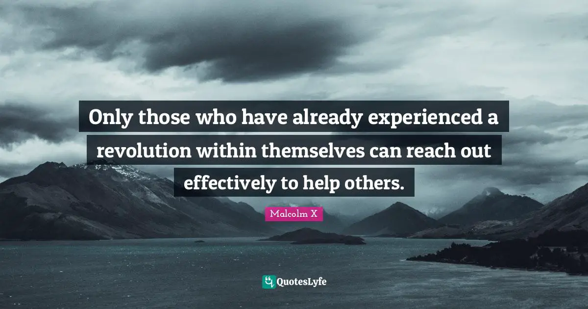 Revolution Quotes: "Only those who have already experienced a revolution within themselves can reach out effectively to help others."