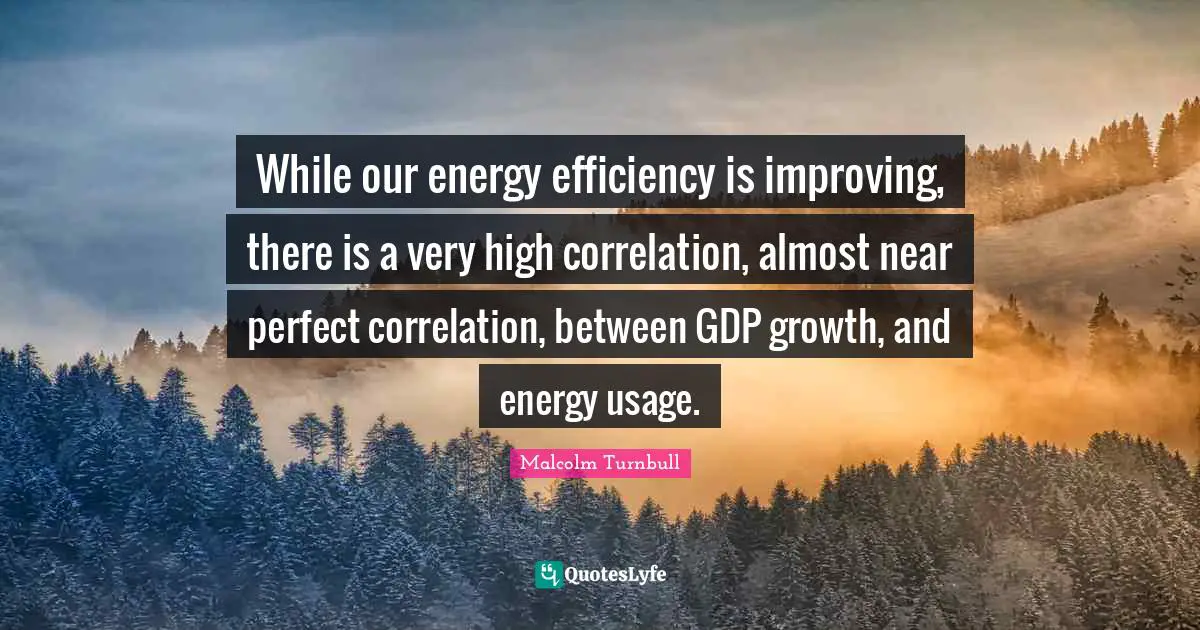 Correlation Quotes: "While our energy efficiency is improving, there is a very high correlation, almost near perfect correlation, between GDP growth, and energy usage."