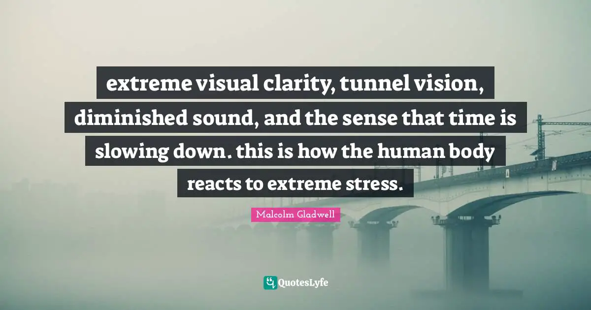 extreme visual clarity, tunnel vision, diminished sound, and the sense that time is slowing down. this is how the human body reacts to extreme stress.