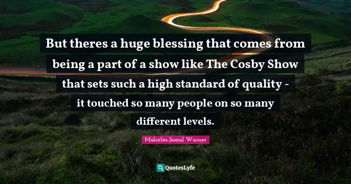 But theres a huge blessing that comes from being a part of a show like The Cosby Show that sets such a high standard of quality - it touched so many people on so many different levels.