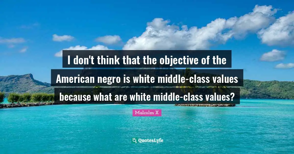 I don't think that the objective of the American negro is white middle-class values because what are white middle-class values?