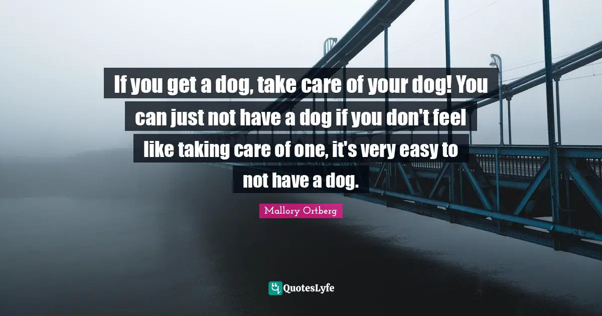 If you get a dog, take care of your dog! You can just not have a dog if you don't feel like taking care of one, it's very easy to not have a dog.