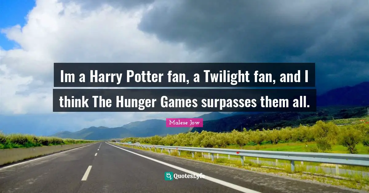 Im a Harry Potter fan, a Twilight fan, and I think The Hunger Games surpasses them all.
