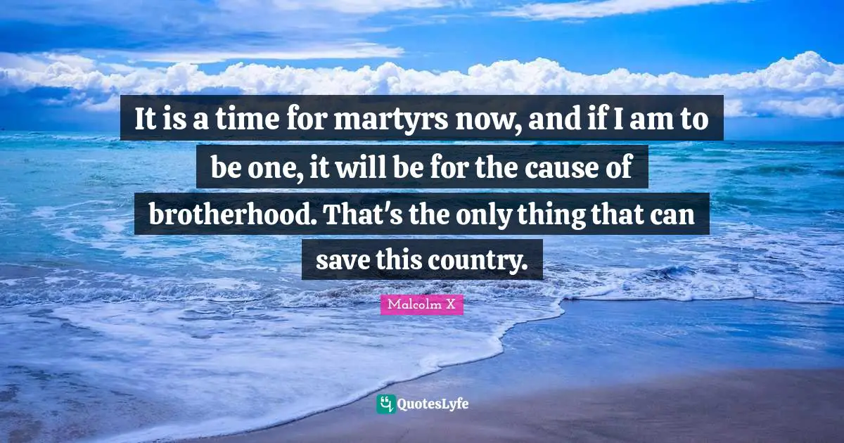 It is a time for martyrs now, and if I am to be one, it will be for the cause of brotherhood. That's the only thing that can save this country.