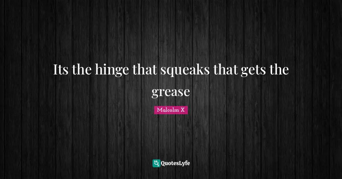 Its the hinge that squeaks that gets the grease