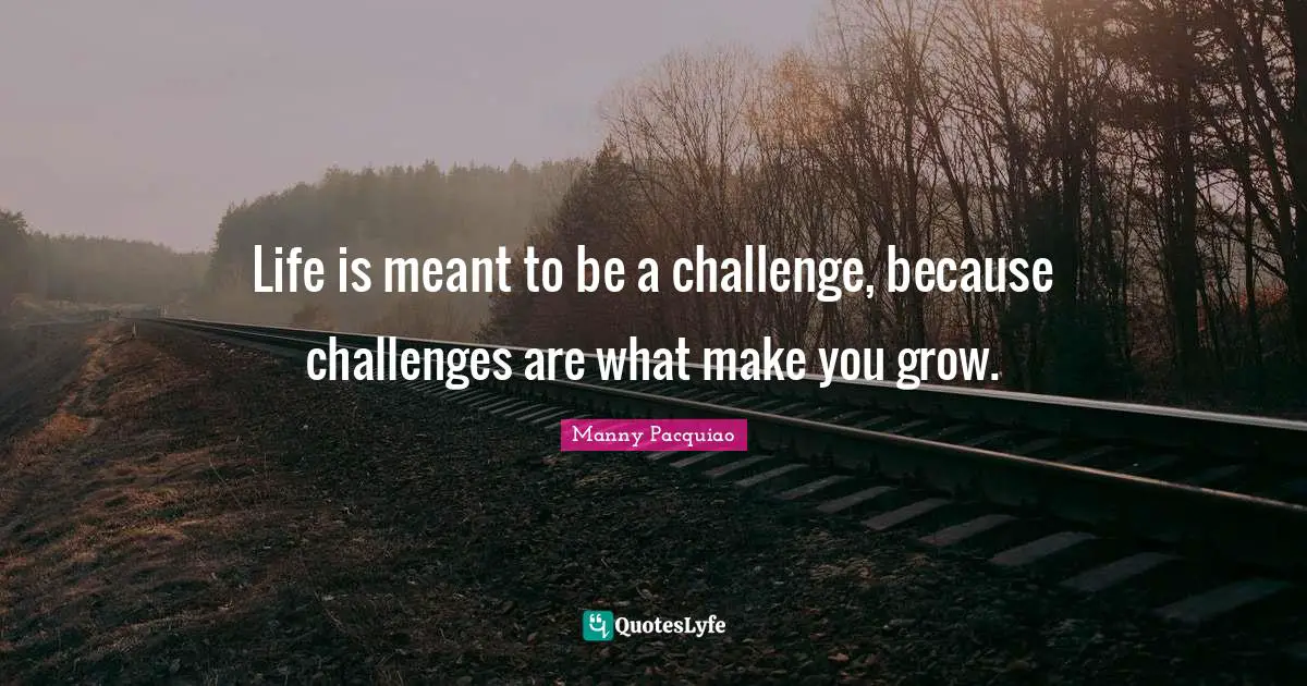 Life is meant to be a challenge, because challenges are what make you grow.