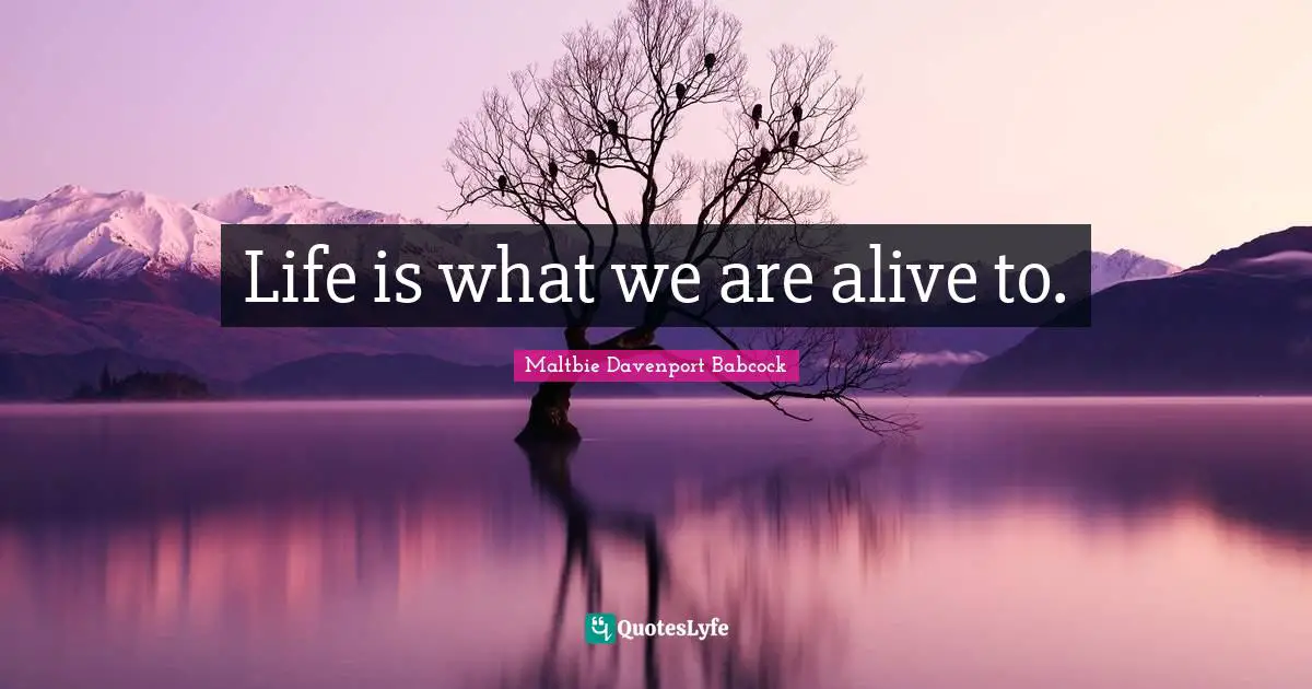 Life is what we are alive to.