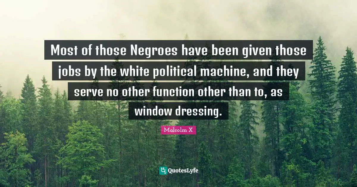 Most of those Negroes have been given those jobs by the white political machine, and they serve no other function other than to, as window dressing.