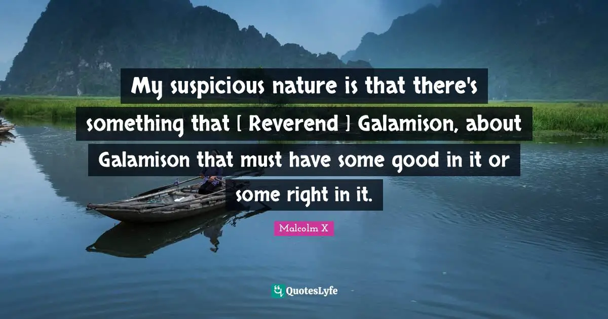 My suspicious nature is that there's something that [ Reverend ] Galamison, about Galamison that must have some good in it or some right in it.