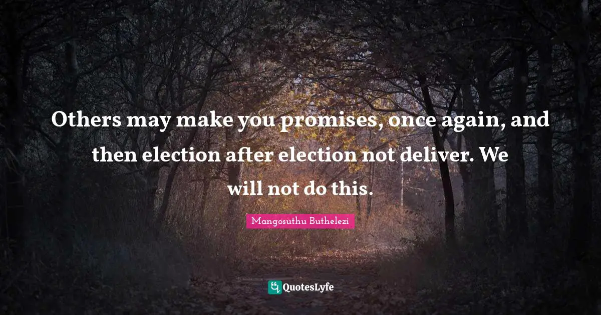Others may make you promises, once again, and then election after election not deliver. We will not do this.