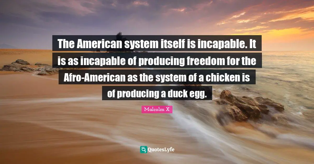 The American system itself is incapable. It is as incapable of producing freedom for the Afro-American as the system of a chicken is of producing a duck egg.