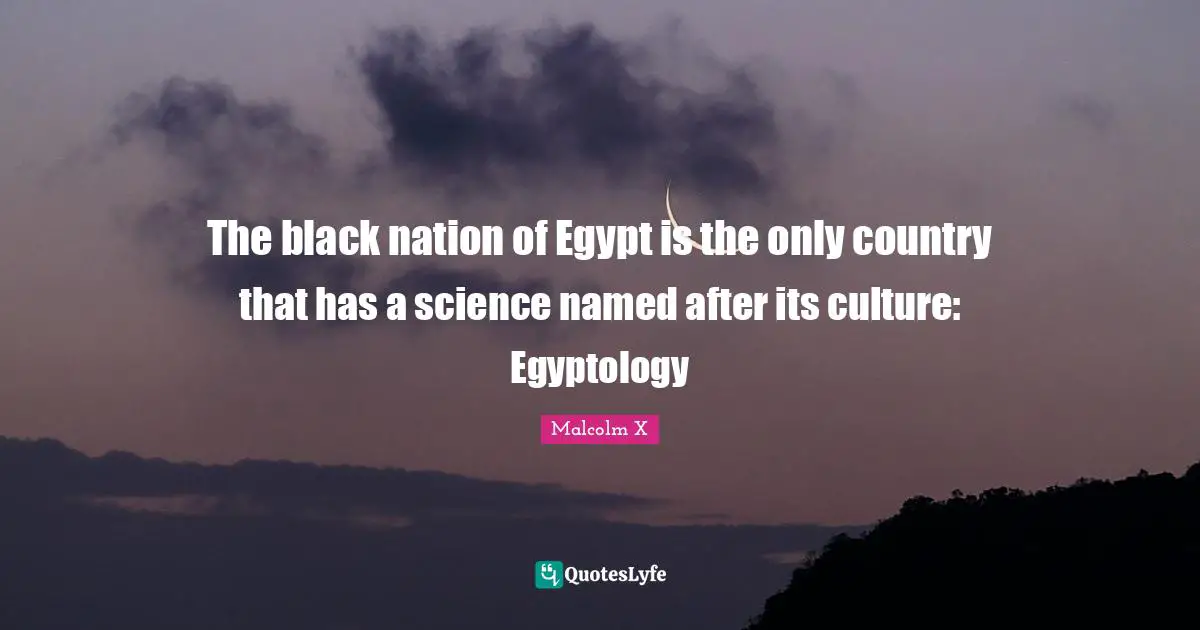 The black nation of Egypt is the only country that has a science named after its culture: Egyptology