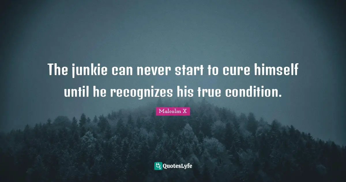 The junkie can never start to cure himself until he recognizes his true condition.