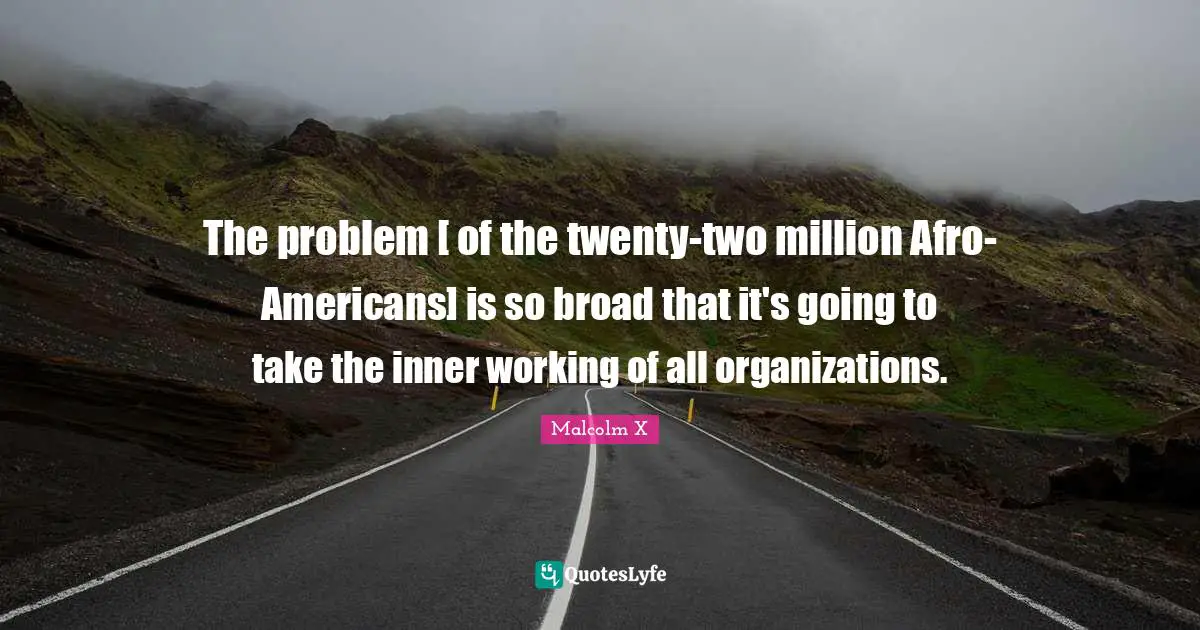 The problem [ of the twenty-two million Afro-Americans] is so broad that it's going to take the inner working of all organizations.