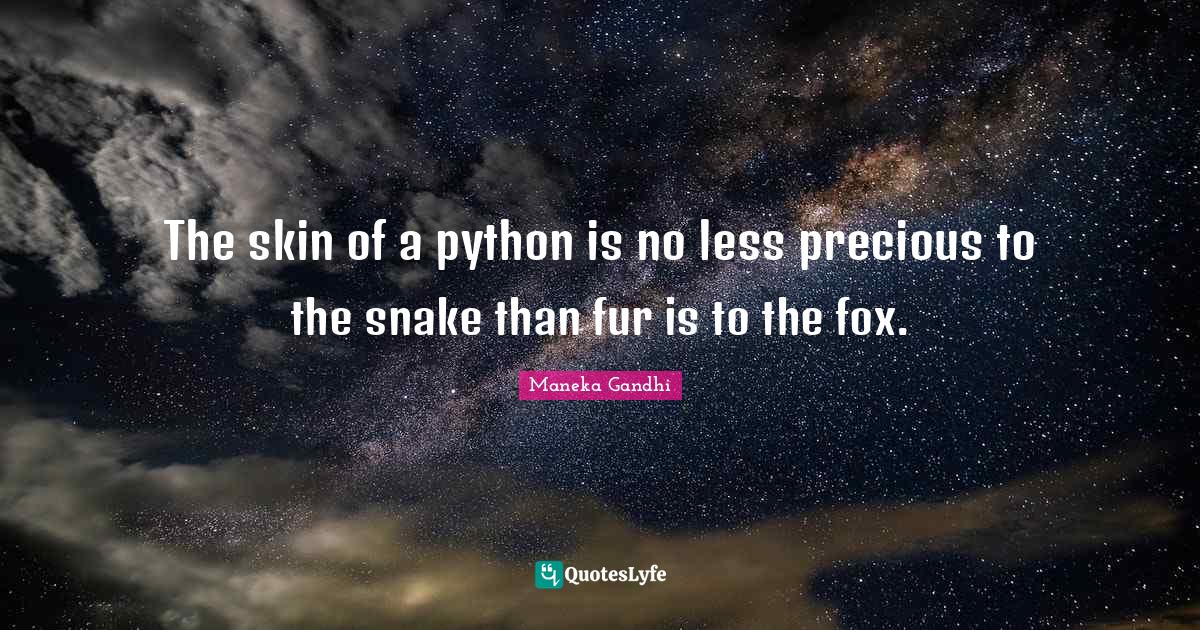 The skin of a python is no less precious to the snake than fur is to t ...