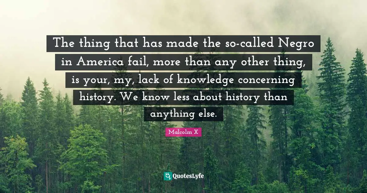 The thing that has made the so-called Negro in America fail, more than any other thing, is your, my, lack of knowledge concerning history. We know less about history than anything else.